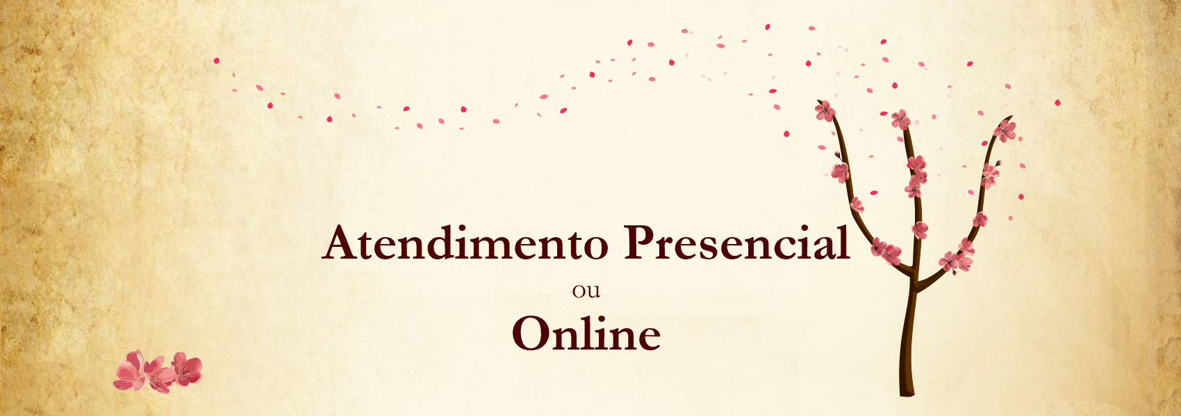 Presencial ou Online2